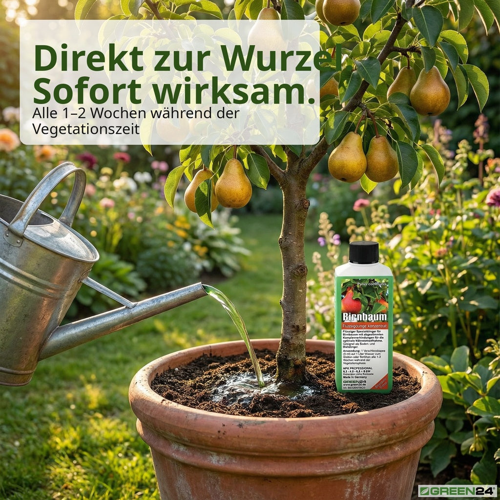 Birnbaum-Dünger – Anwendung und Produktwissen 8