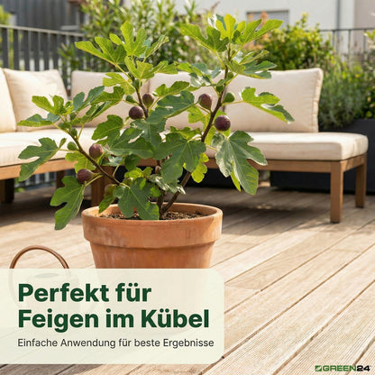 Feigen-Dünger – Anwendung und Produktwissen 7