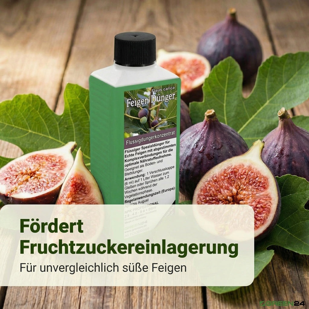 Feigen-Dünger – Anwendung und Produktwissen 8