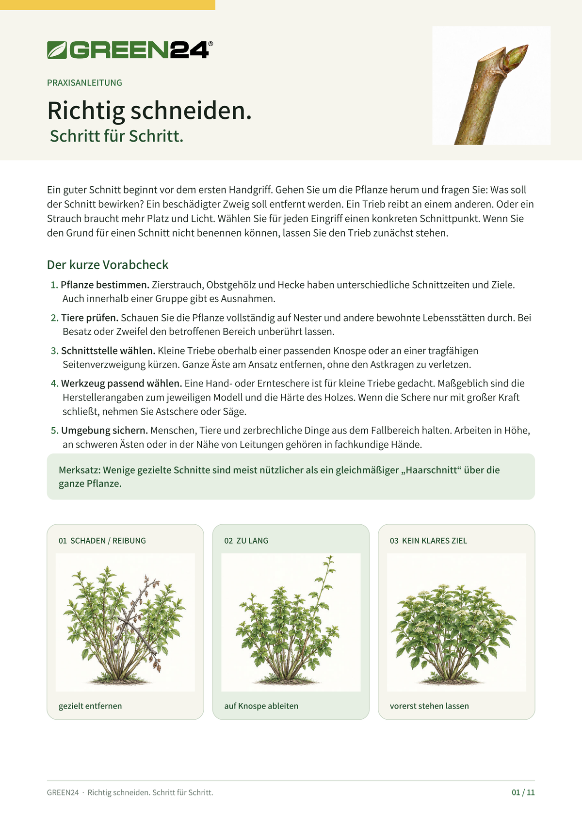 Vorschau der kostenlosen GREEN24 Schnittanleitung als deutsche PDF