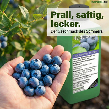Heidelbeer-Dünger – Anwendung und Produktwissen 7