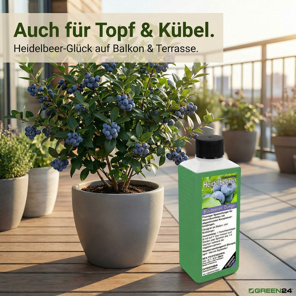 Heidelbeer-Dünger – Anwendung und Produktwissen 9