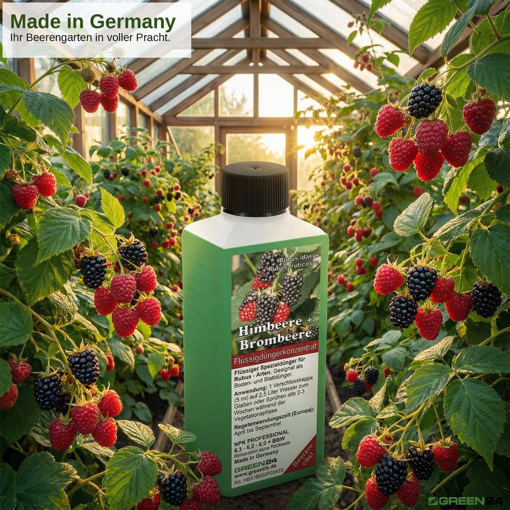 Himbeer- & Brombeer-Dünger – Anwendung und Produktwissen 6