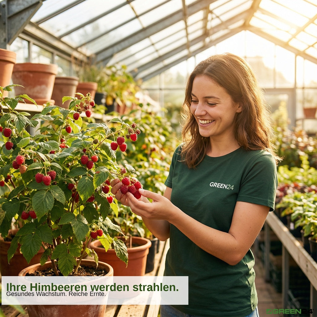 Himbeer- & Brombeer-Dünger – Anwendung und Produktwissen 9