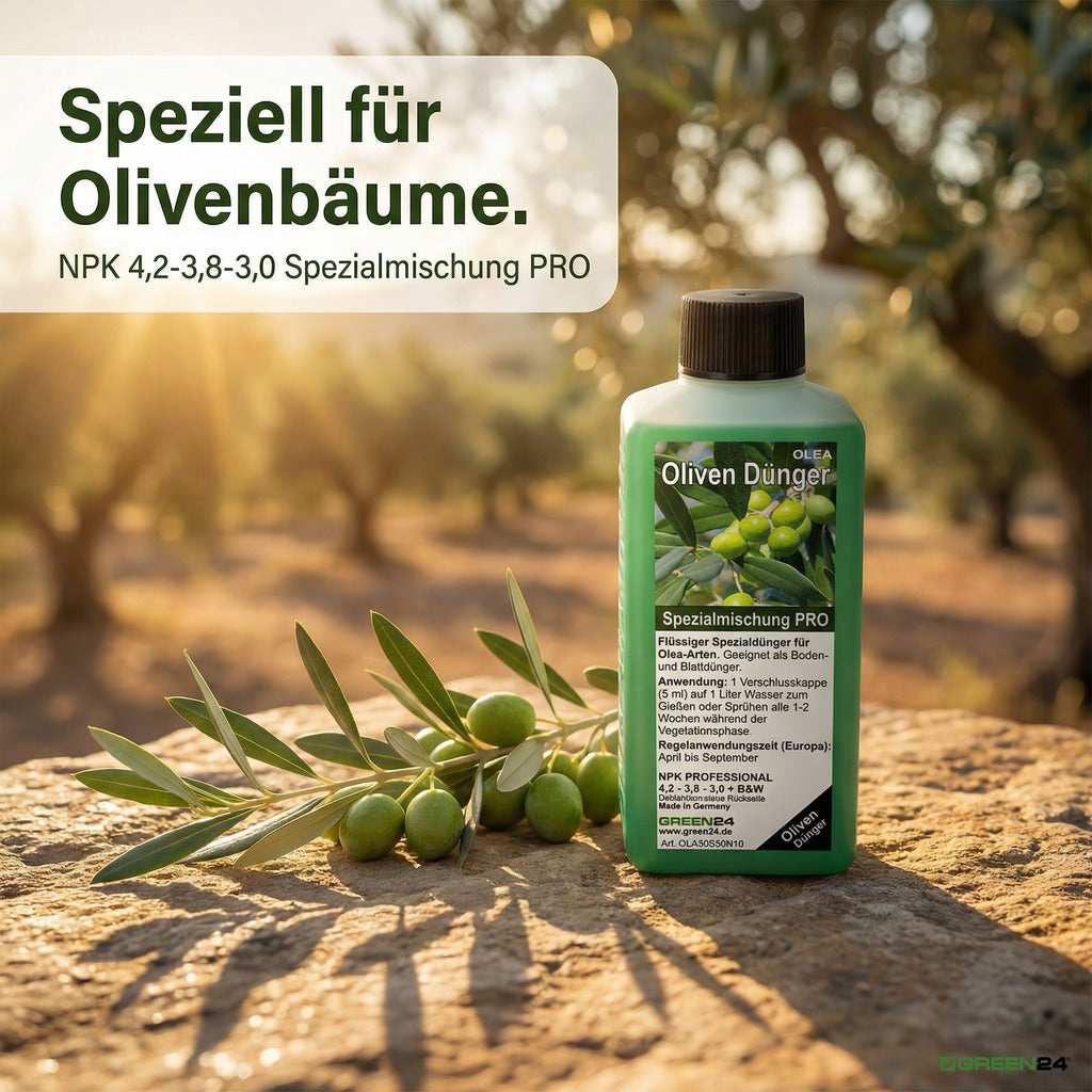 Oliven-Dünger – Anwendung und Produktwissen 8