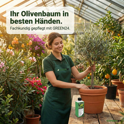 Oliven-Dünger – Anwendung und Produktwissen 5