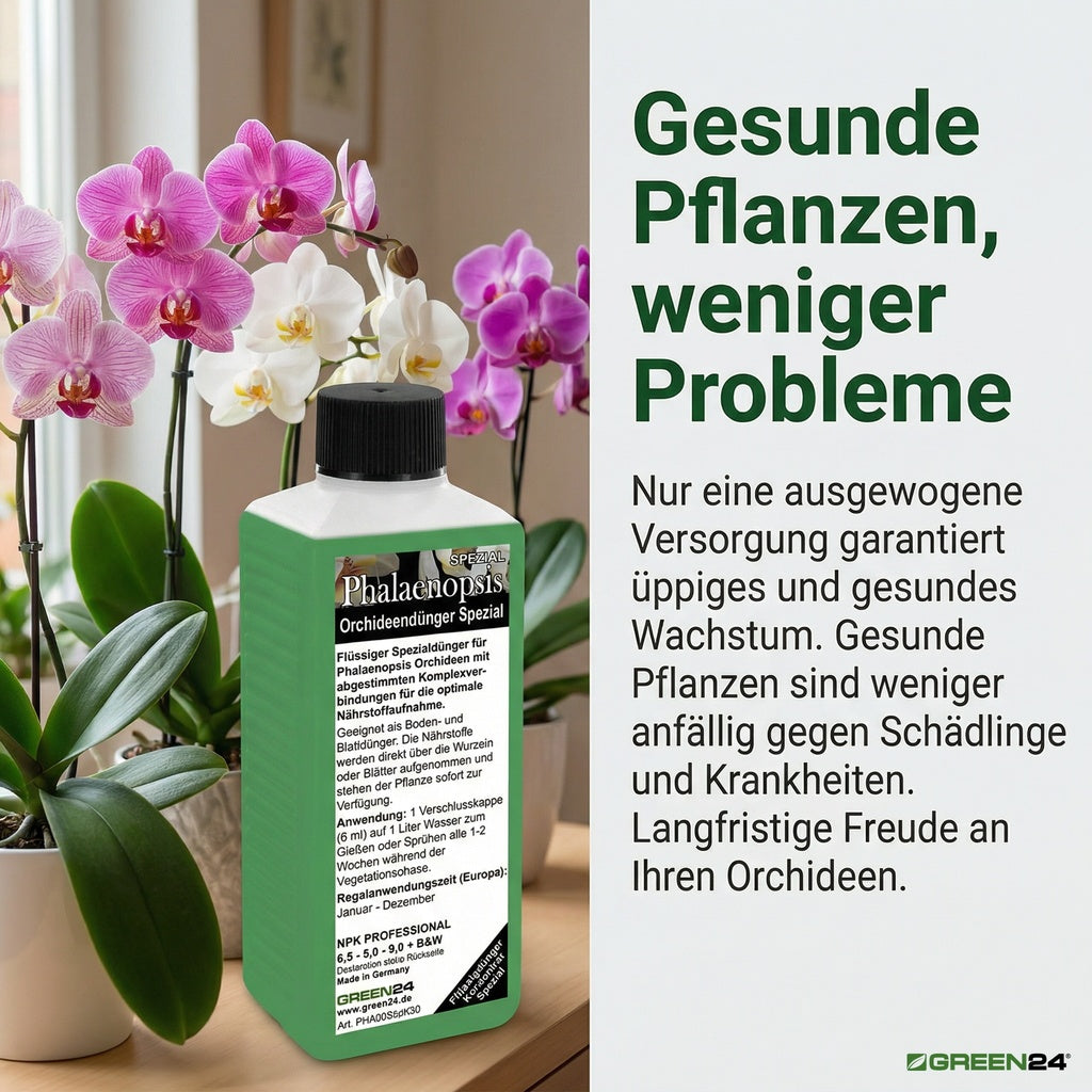 Phalaenopsis Dünger 250ml – Anwendung und Produktinformationen 8