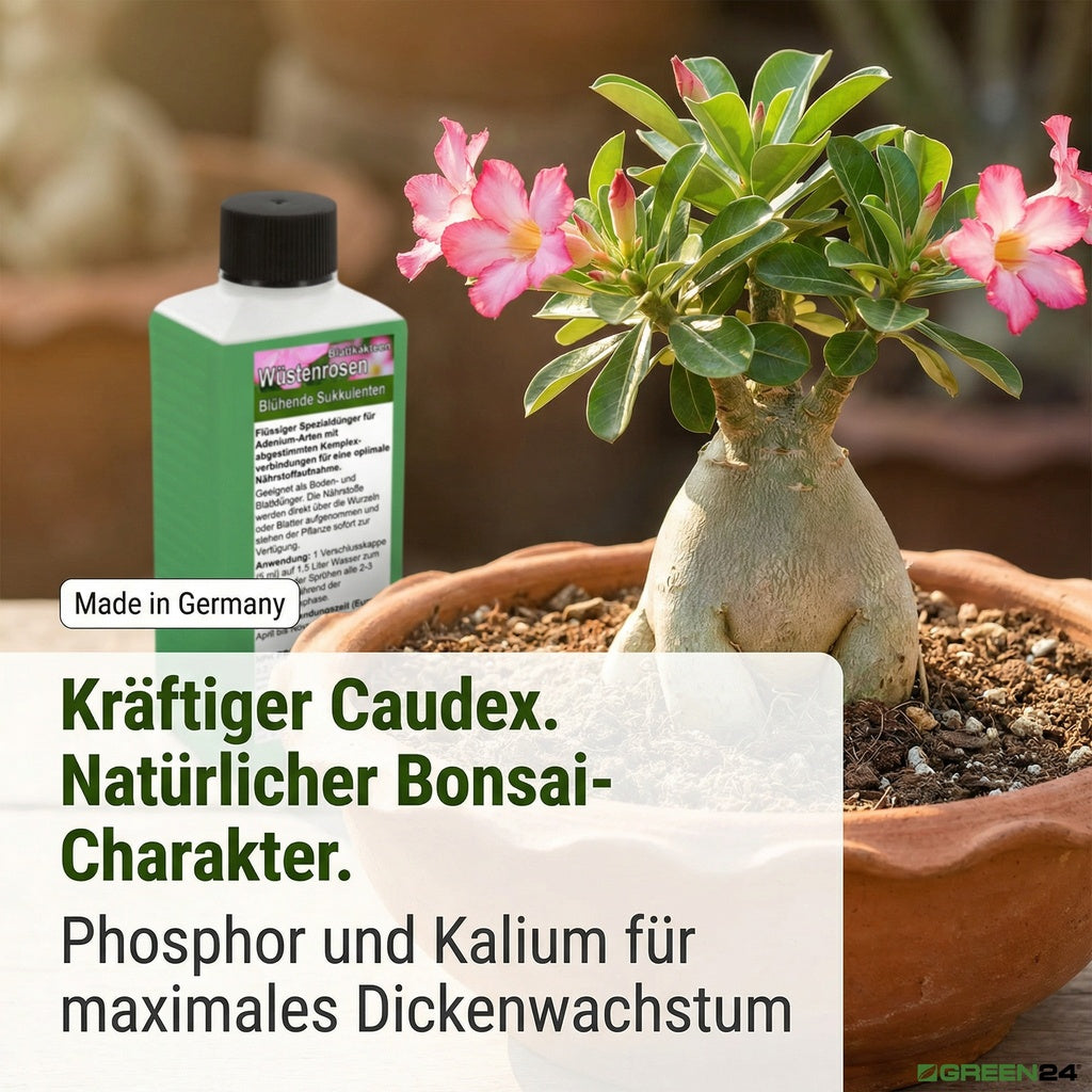 Wüstenrosen Dünger – Anwendung und Produktinformationen 8