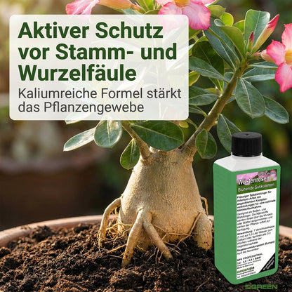 Wüstenrosen Dünger – Anwendung und Produktinformationen 7
