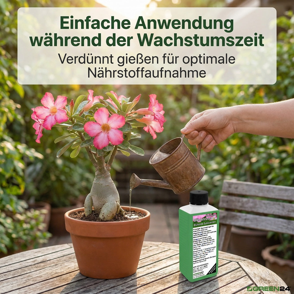 Wüstenrosen Dünger – Anwendung und Produktinformationen 9