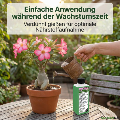 Wüstenrosen Dünger – Anwendung und Produktinformationen 9
