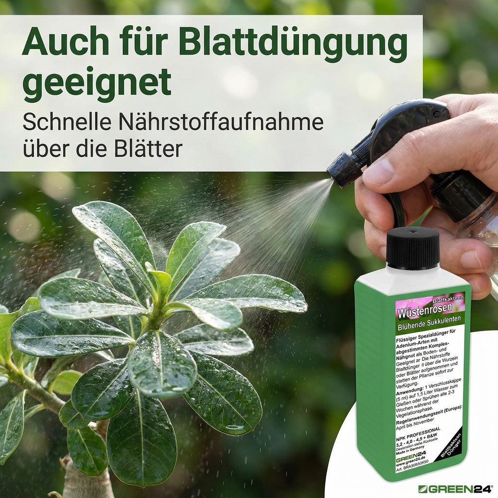 Wüstenrosen Dünger – Anwendung und Produktinformationen 10