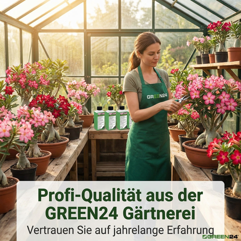 Wüstenrosen Dünger – Anwendung und Produktinformationen 11
