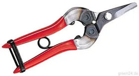 ARS 310 harvesting and florist snips