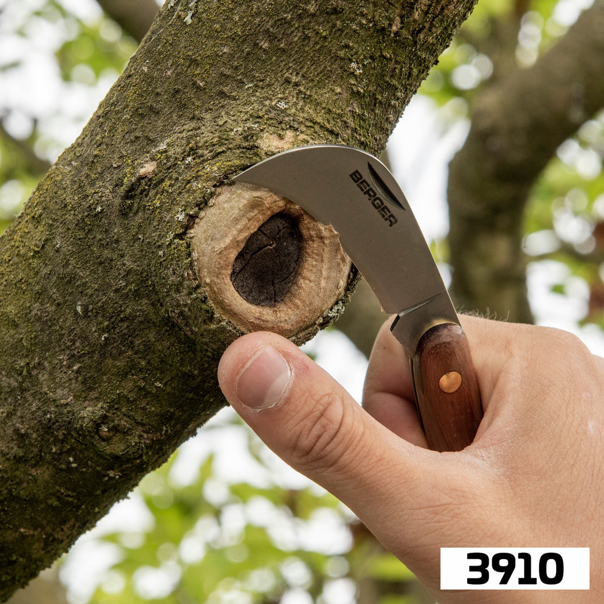 BERGER 3910 – nursery knife at a branch