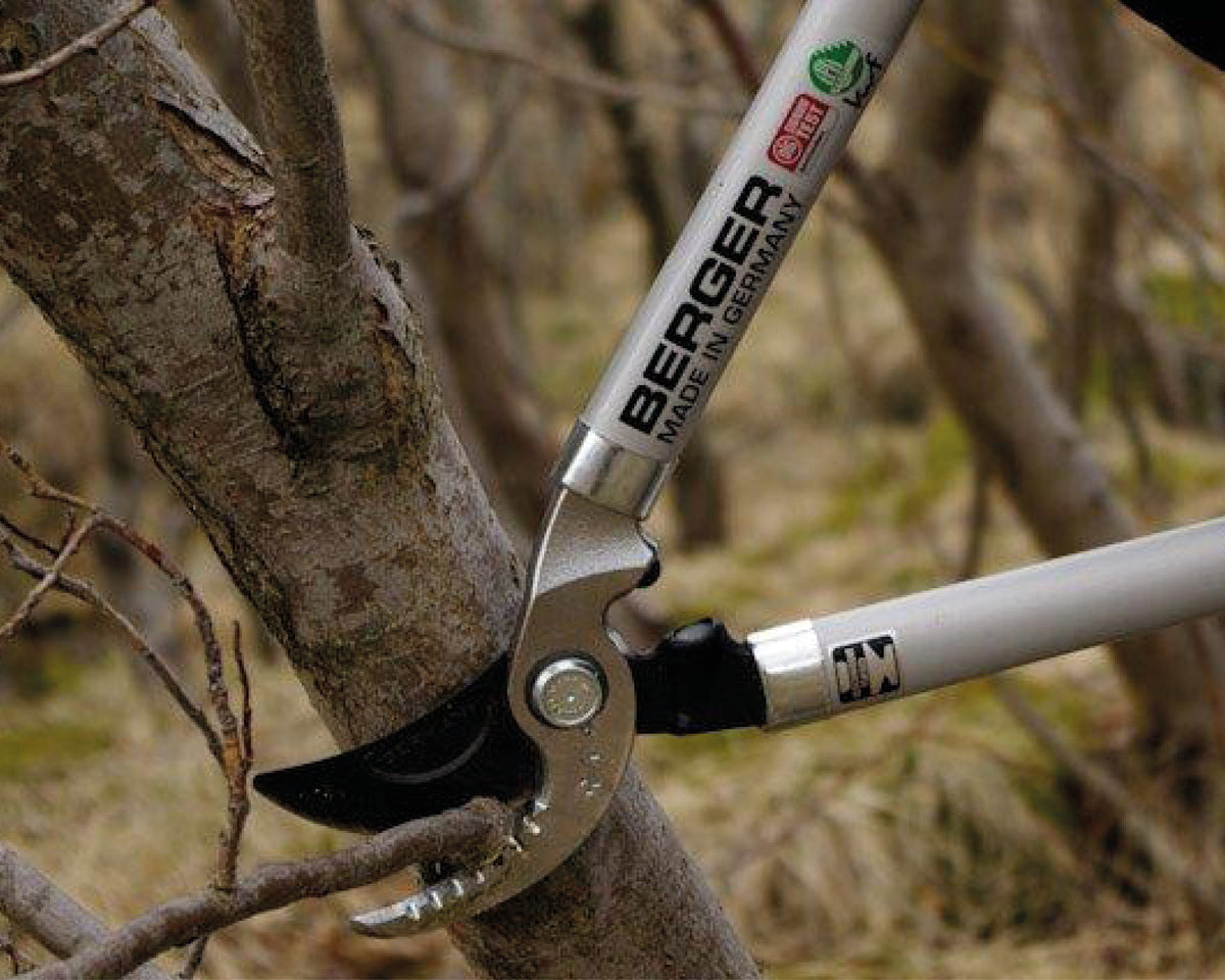 BERGER 4195 – beim Astschnitt