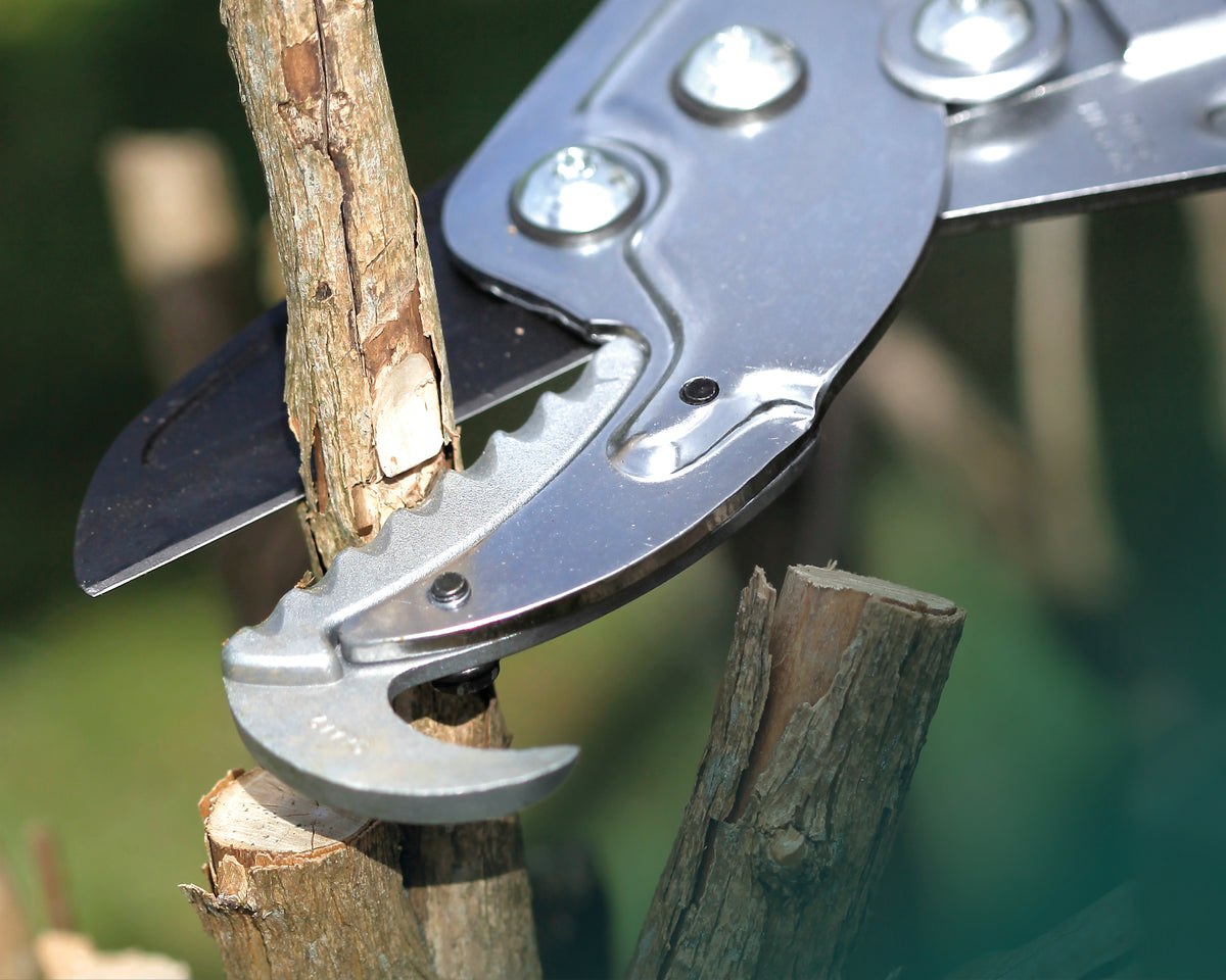 BERGER 4255 – cutting a branch
