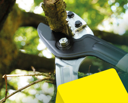 BERGER 4272 – cutting a branch