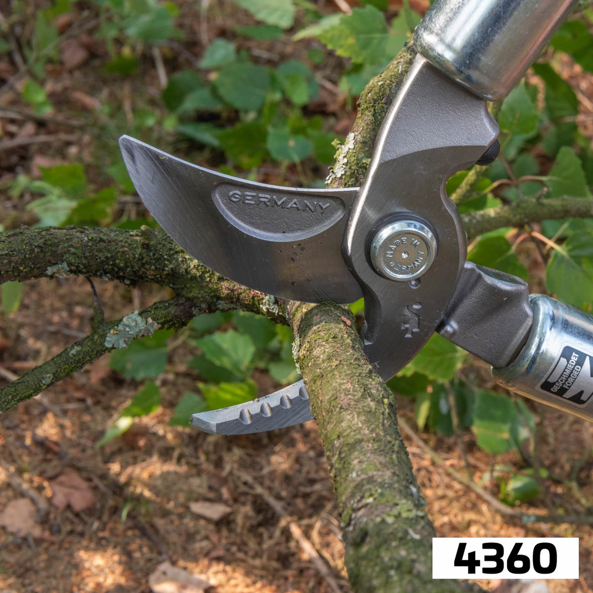 BERGER 4360 – branch in the cutting head