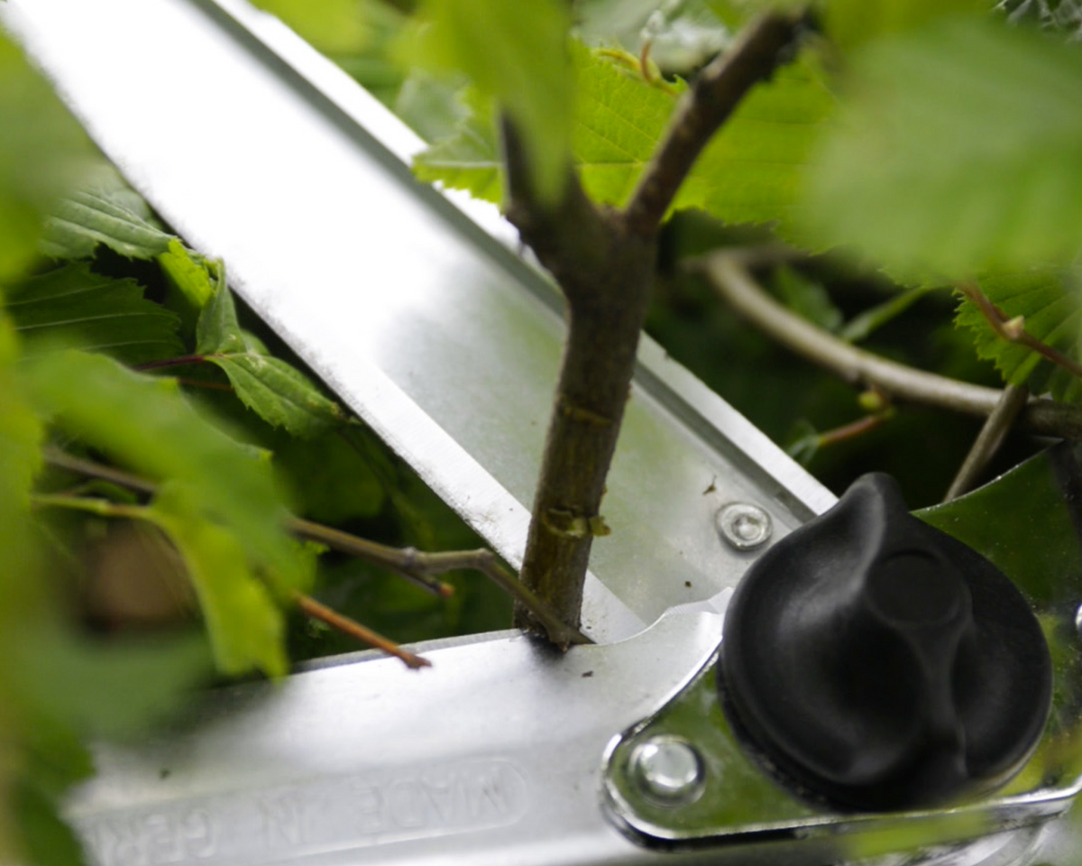 BERGER 4490 – Gerade Klingen im Detail