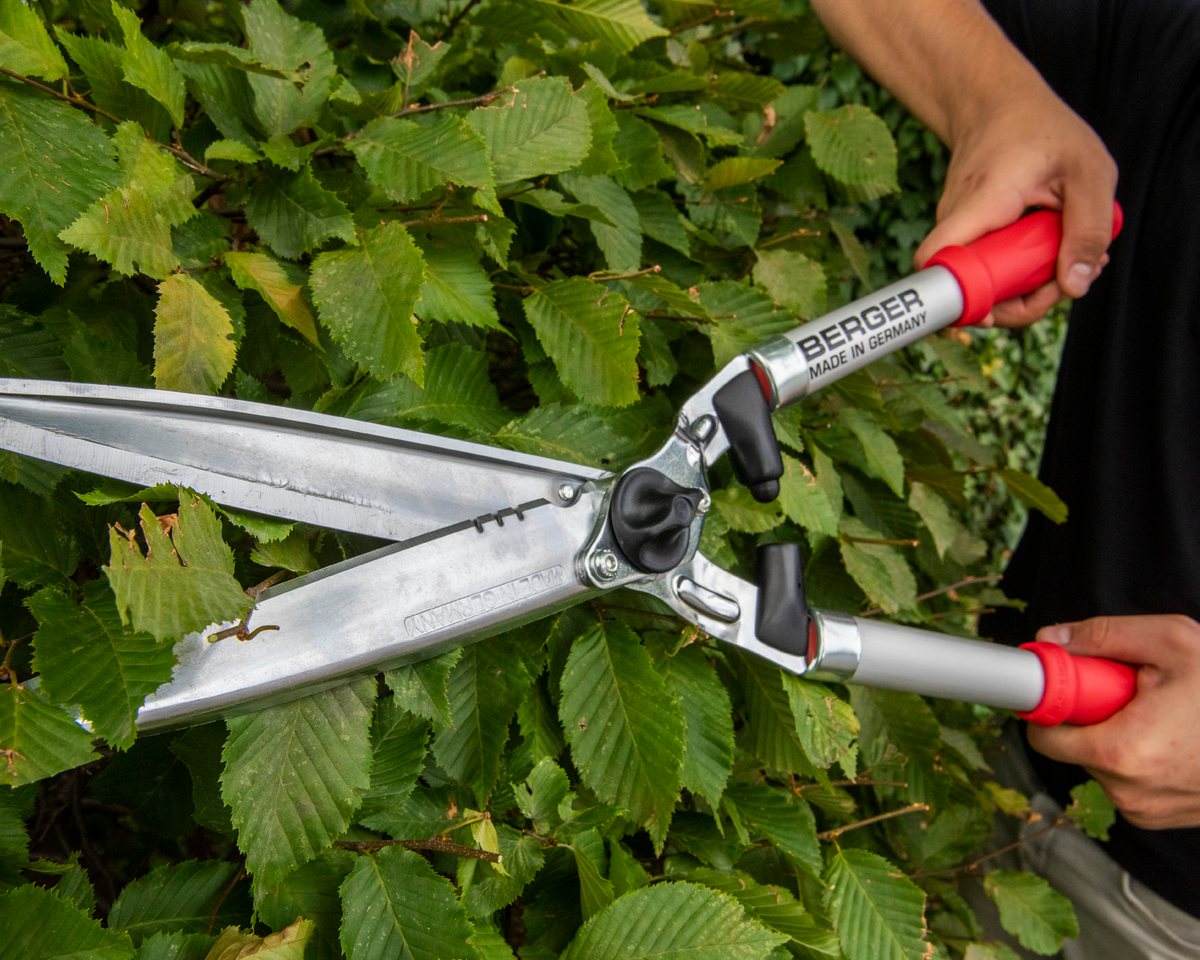 BERGER 4495 – Anwendung an der Hecke