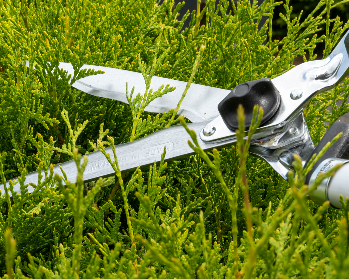 BERGER 4595 – Wavy blades in use
