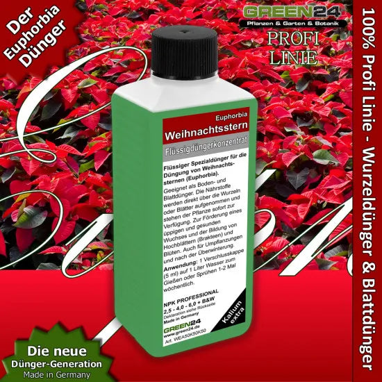 Weihnachtsstern-Dünger Pro – 250 ml – Produkt und Pflanze