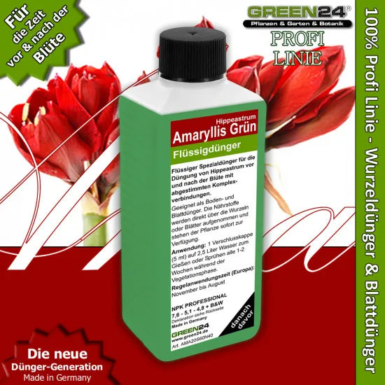 Amaryllis-Dünger Pro Grün – 250 ml – Produkt und Pflanze