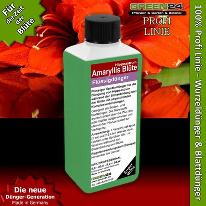 Amaryllis-Dünger Pro Blüte – 250 ml – Produkt und Pflanze