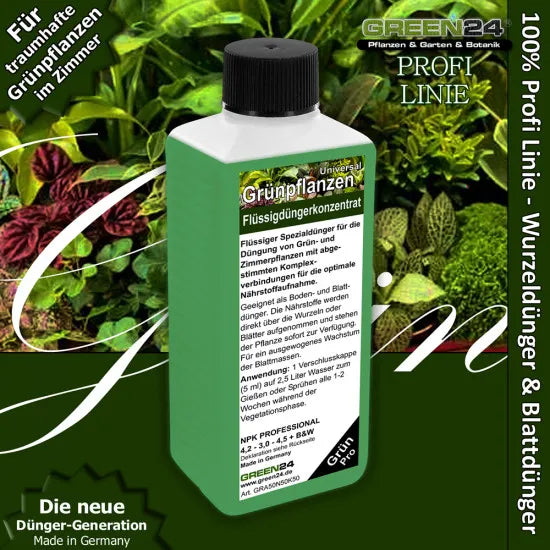 Zimmerpflanzen & Grünpflanzendünger Pro – 250 ml – Produkt und Pflanze