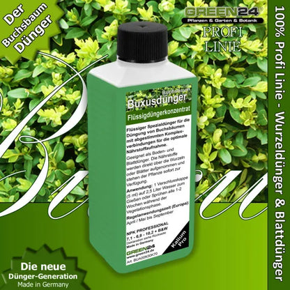 Buchsbaum-Dünger Pro – 250ml NPK-Konzentrat für Buxus & Ilex | Formschnitt-Spezialist für dichte Hecken & kräftiges Wachstum | Immergrün-Dünger mit Spurenelementen – Produkt und Anwendung