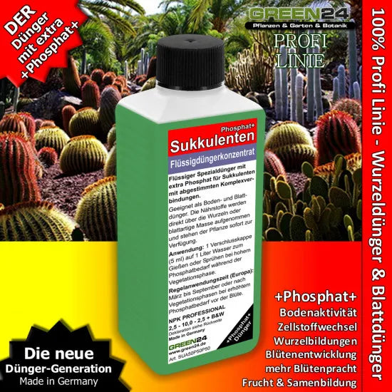 GREEN24 Sukkulenten & Kakteen Dünger Phosphat+ – 250 ml – Produkt mit Pflanzenmotiv