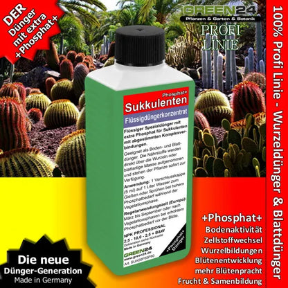 GREEN24 Sukkulenten & Kakteen Dünger Phosphat+ – 250 ml – Produkt mit Pflanzenmotiv