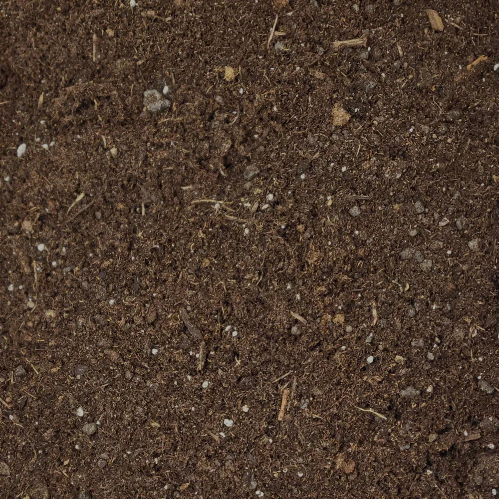 Tea Plant Compost original texture