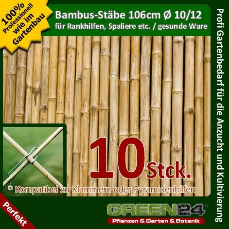 Ten bamboo canes, 106 cm long, 10–12 mm diameter