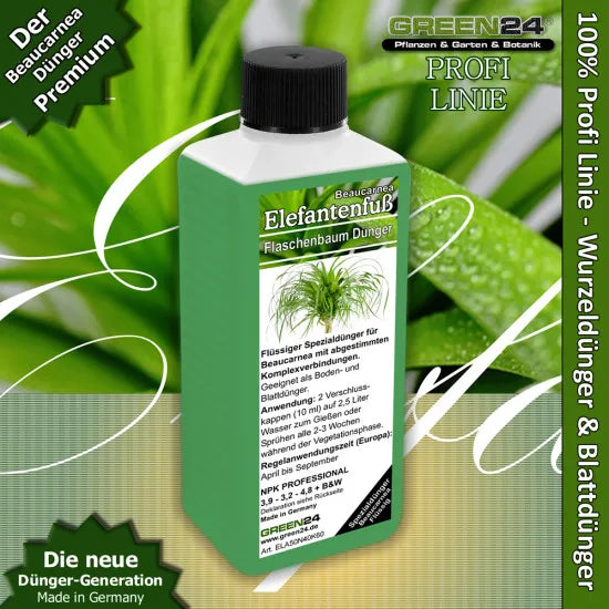 Elefantenfuß Dünger 250ml | Spezial-Flüssigdünger für Beaucarnea recurvata | Für dicken Caudex, kräftigen Wuchs & sattgrüne Blätter | Sukkulenten- & Flaschenbaum-Pflege – Produkt und Anwendung