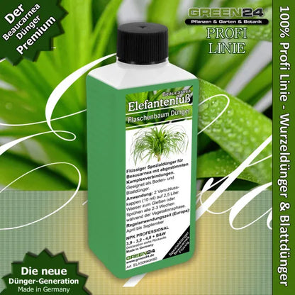 Elefantenfuß Dünger 250ml | Spezial-Flüssigdünger für Beaucarnea recurvata | Für dicken Caudex, kräftigen Wuchs & sattgrüne Blätter | Sukkulenten- & Flaschenbaum-Pflege – Produkt und Anwendung
