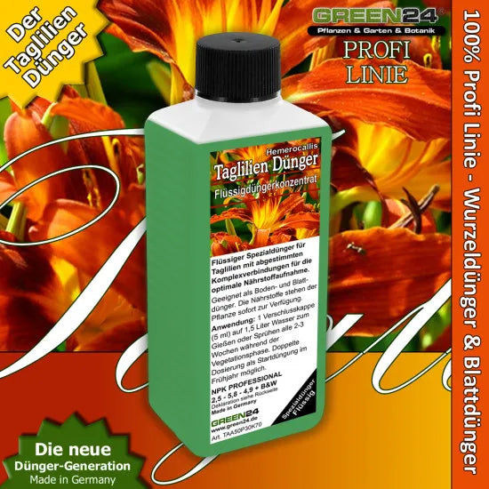 Taglilien-Dünger – 250 ml – Produkt und Pflanze