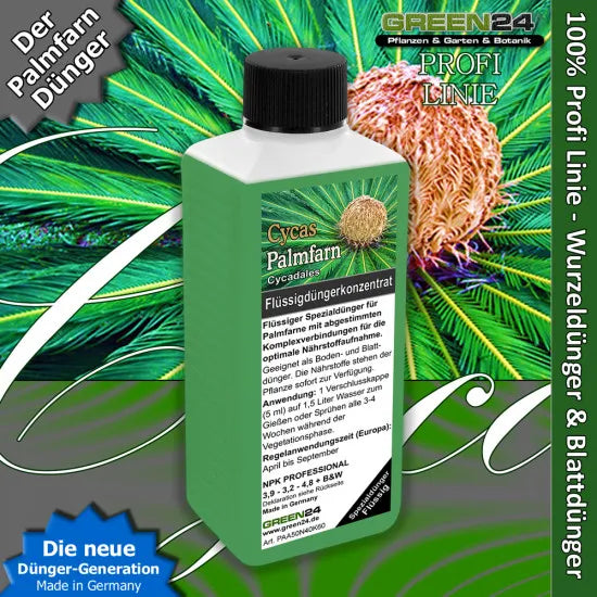 Palmfarn-Dünger – 250 ml – Produkt und Pflanze