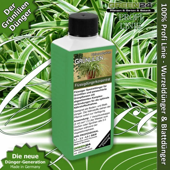 Grünlilien-Dünger – 250 ml – Produkt und Pflanze