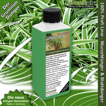 Grünlilien-Dünger – 250 ml – Produkt und Pflanze