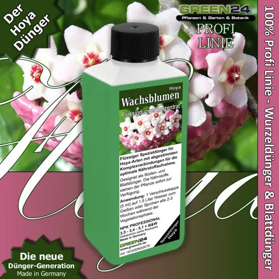 Hoya-Dünger – 250 ml – Produkt und Pflanze