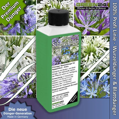 Schmucklilien-Dünger – 250 ml – Produkt und Pflanze