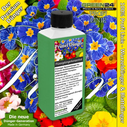 Primel-Dünger – 250 ml – Produkt und Pflanze