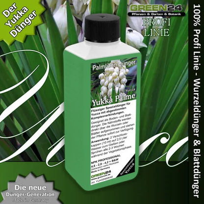Yukka-Dünger – 250 ml – Produkt und Pflanze