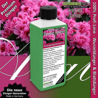 Zimmer-Azaleen-Dünger Pro – 250 ml – Produkt und Pflanze