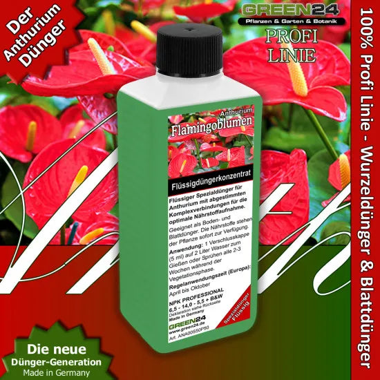 Anthurium-Dünger Pro – 250 ml – Produkt und Pflanze