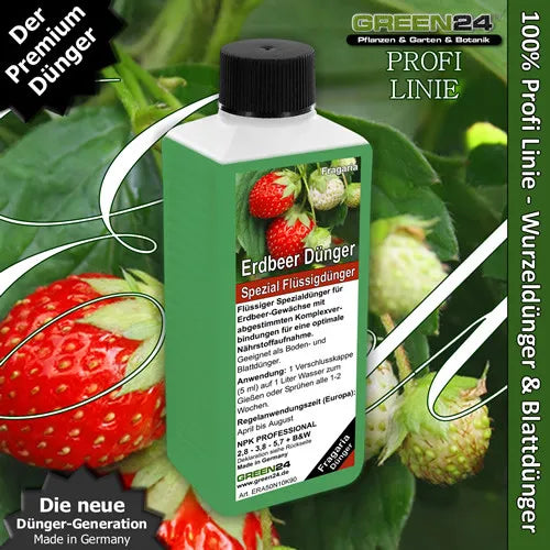 GREEN24 Erdbeer-Dünger 250 ml – Produktansicht mit Pflanze