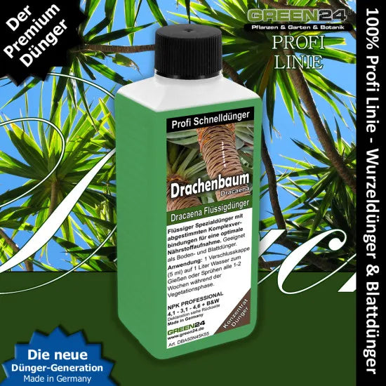 Drachenbaum-Dünger – 250 ml – Produkt und Pflanze