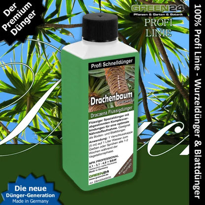 Drachenbaum-Dünger – 250 ml – Produkt und Pflanze